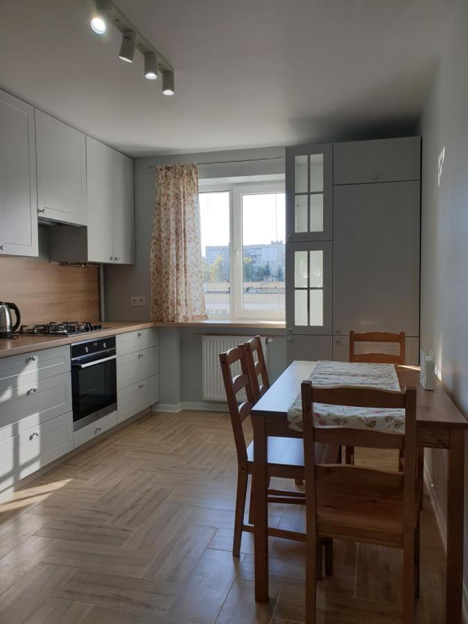 Best Apartment Truskavets Exterior foto